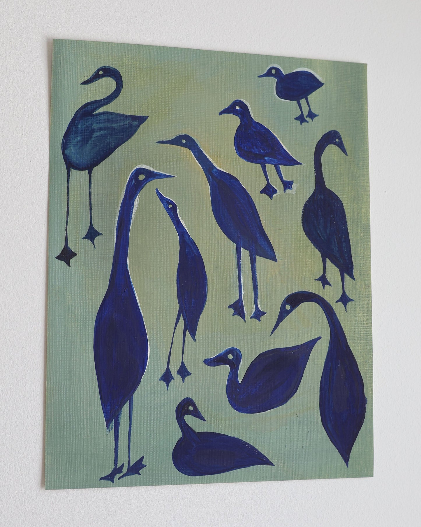 Blue Ducks