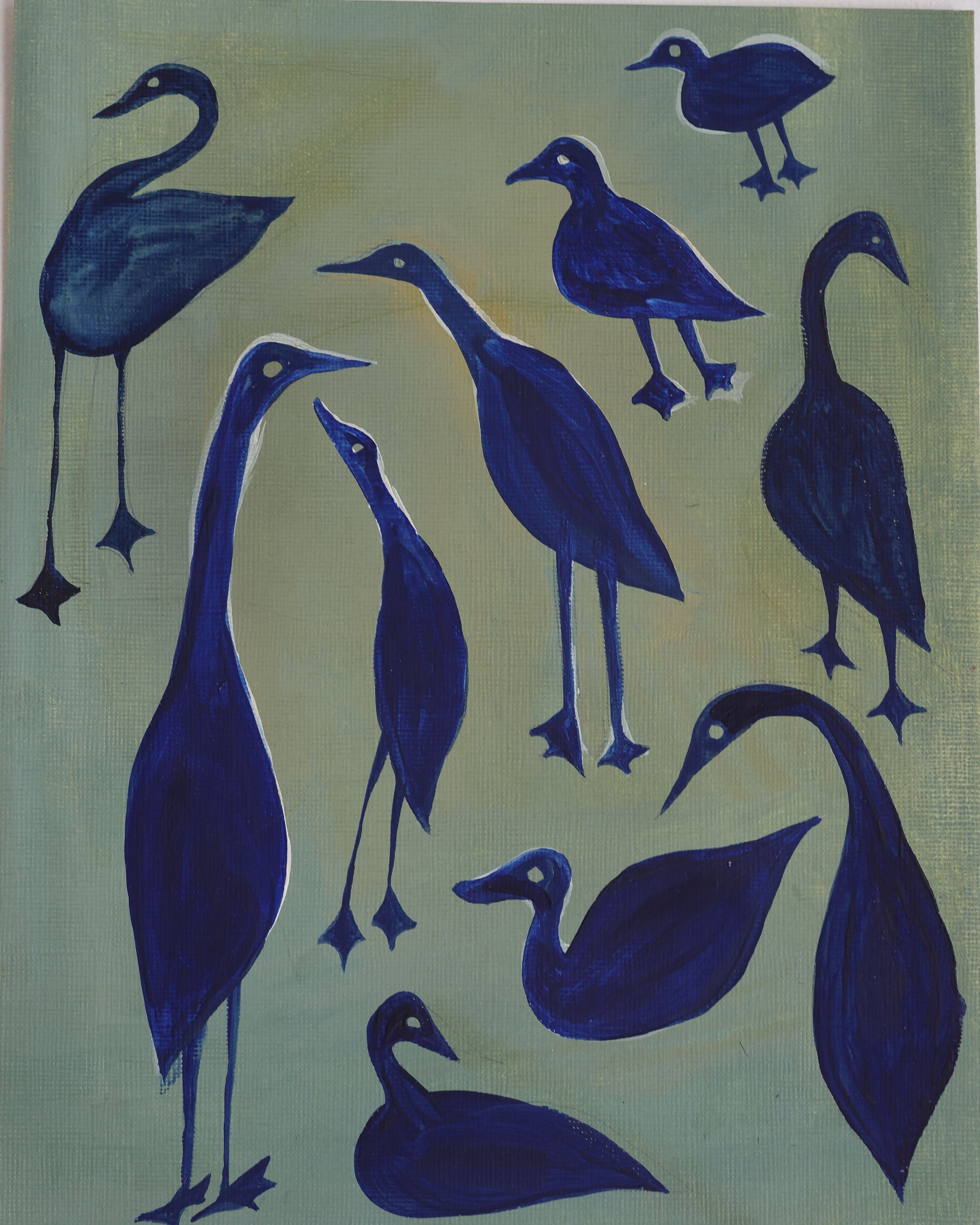 Blue Ducks