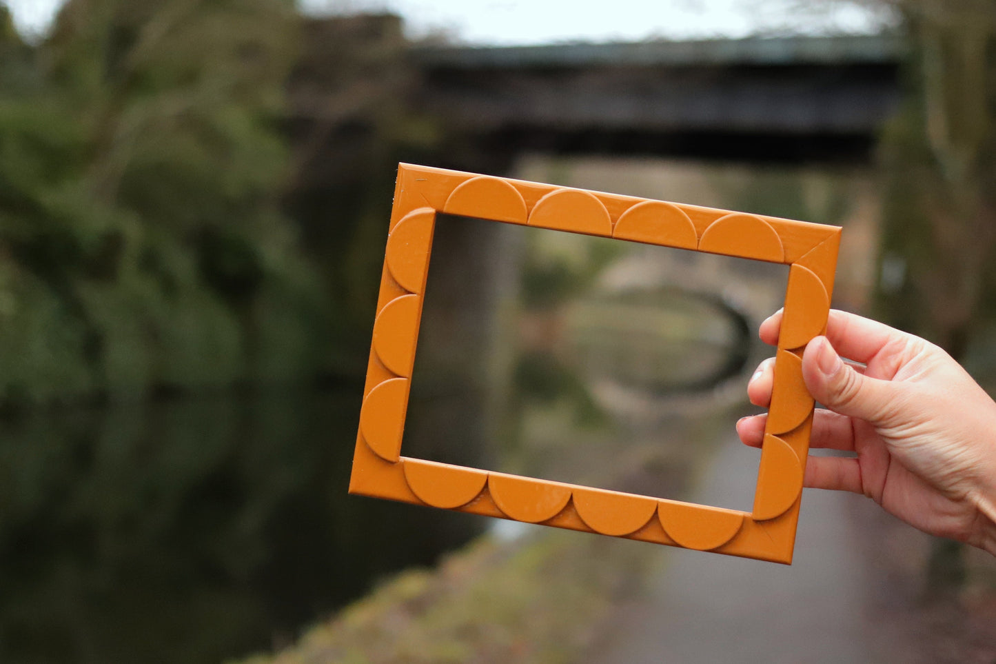 Mustard Lacquered Scallop Frame