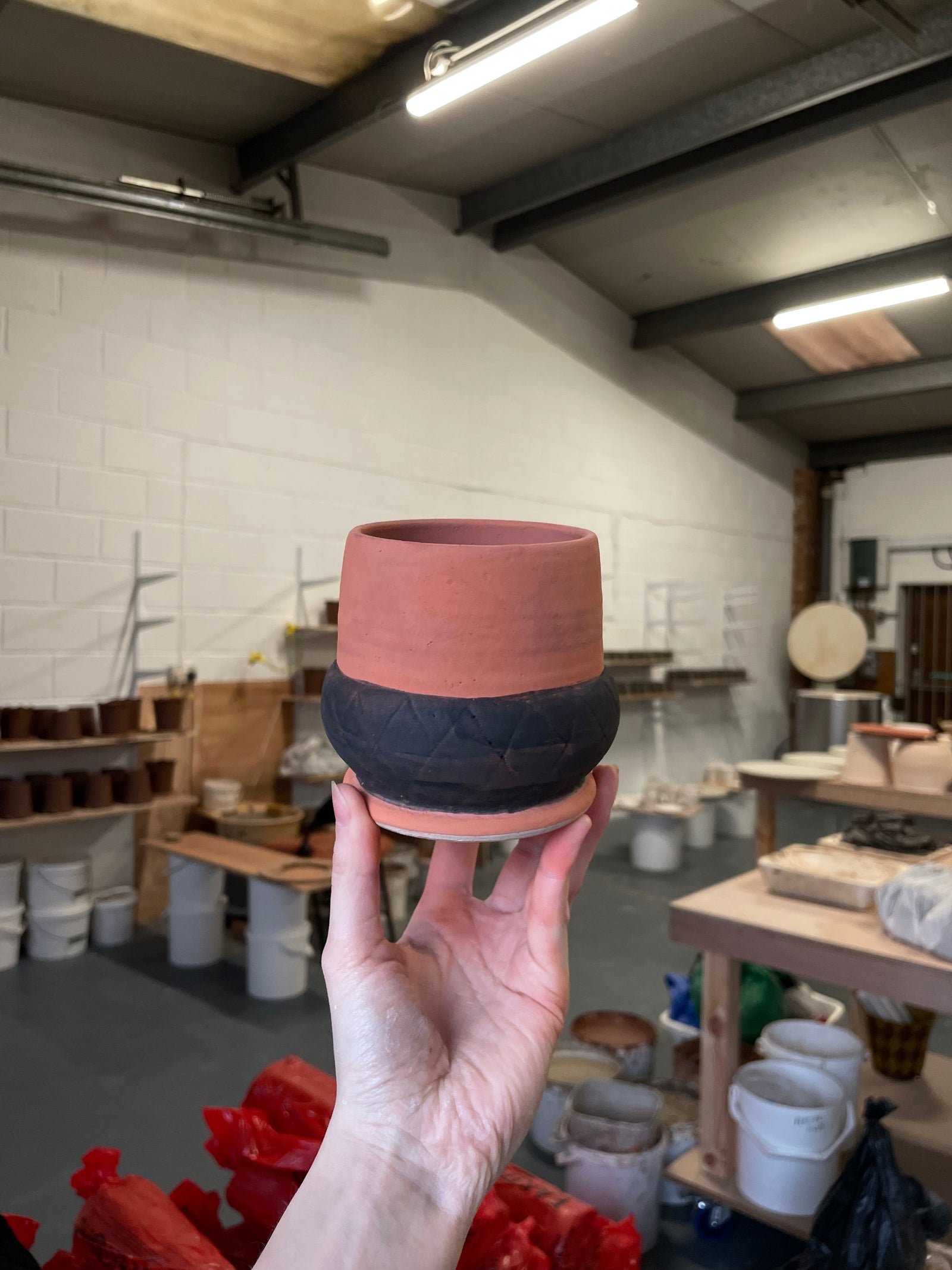 Acorn Pot #3