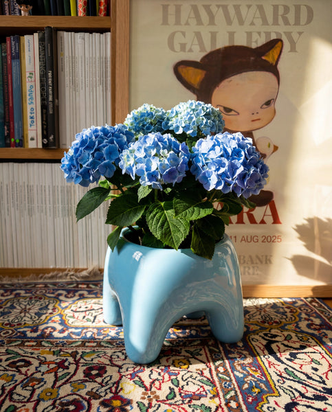 BUDDY Planter in Sky Blue