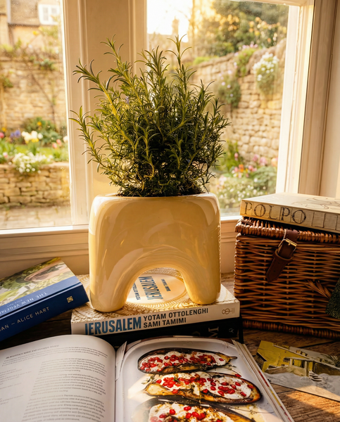 BUDDY Planter in Butter