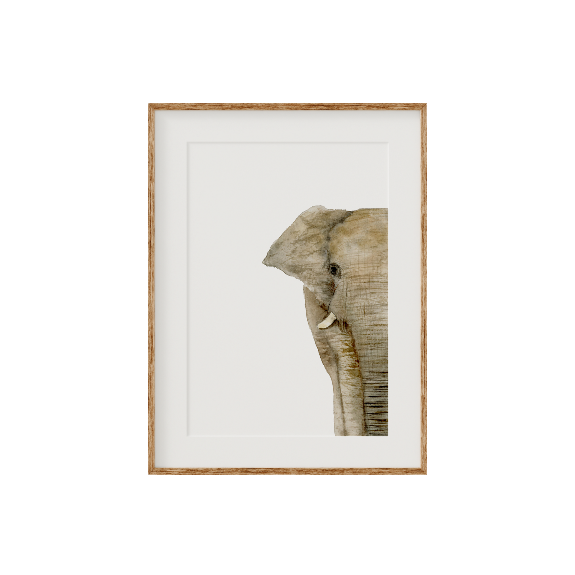 Elephant Limited Edition Fine Art Print