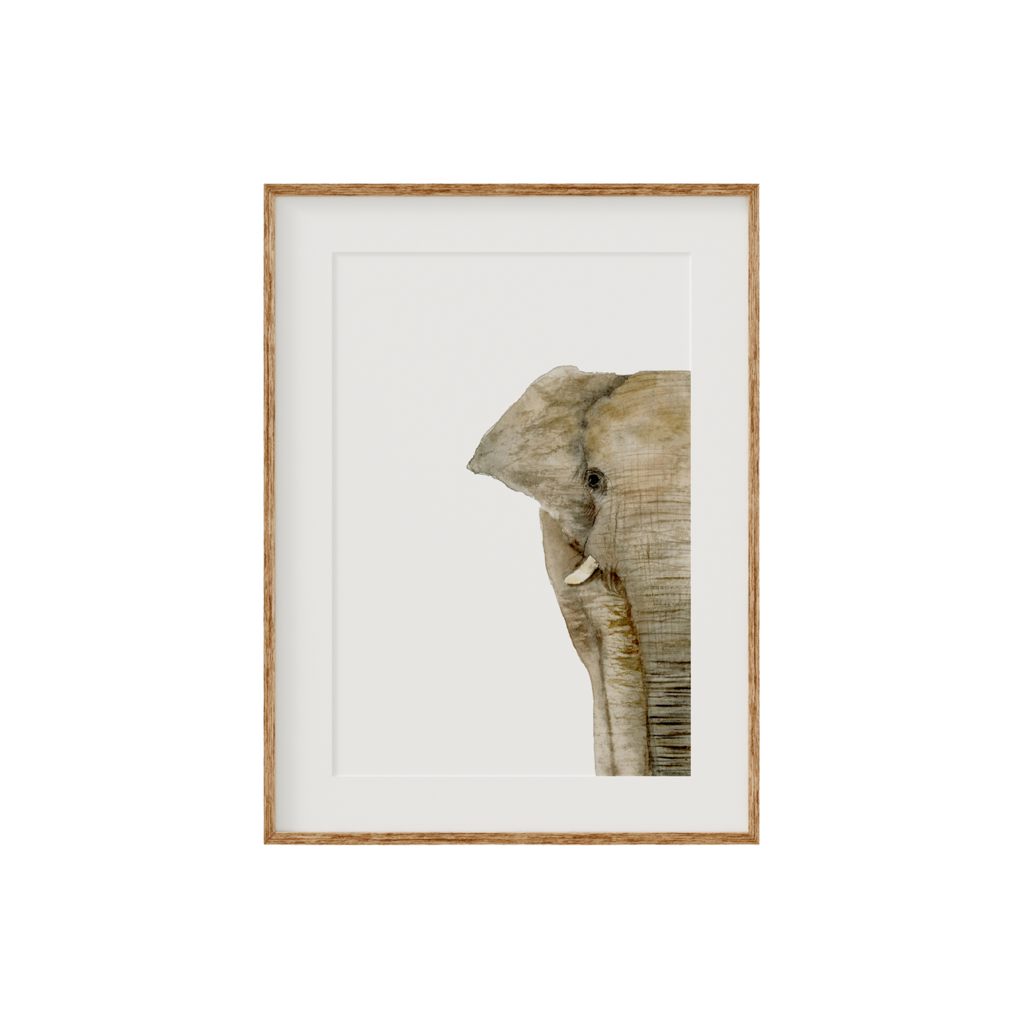 Elephant Limited Edition Fine Art Print