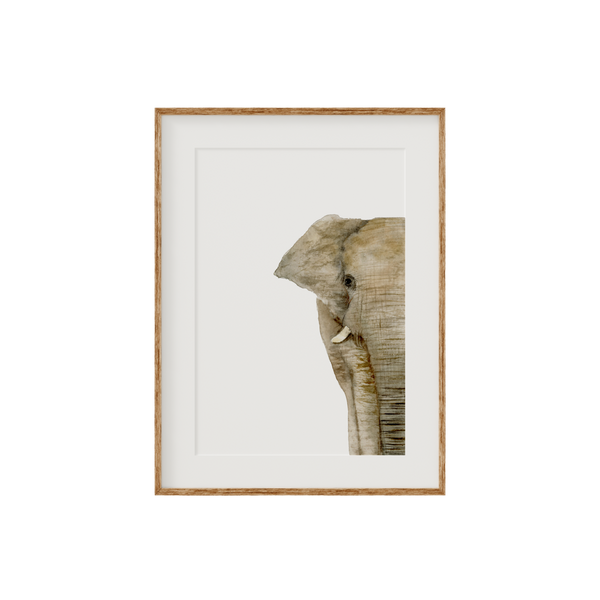 Elephant Limited Edition Fine Art Print