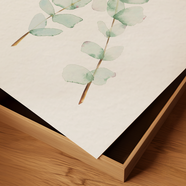 Eucalyptus Fine Art Print