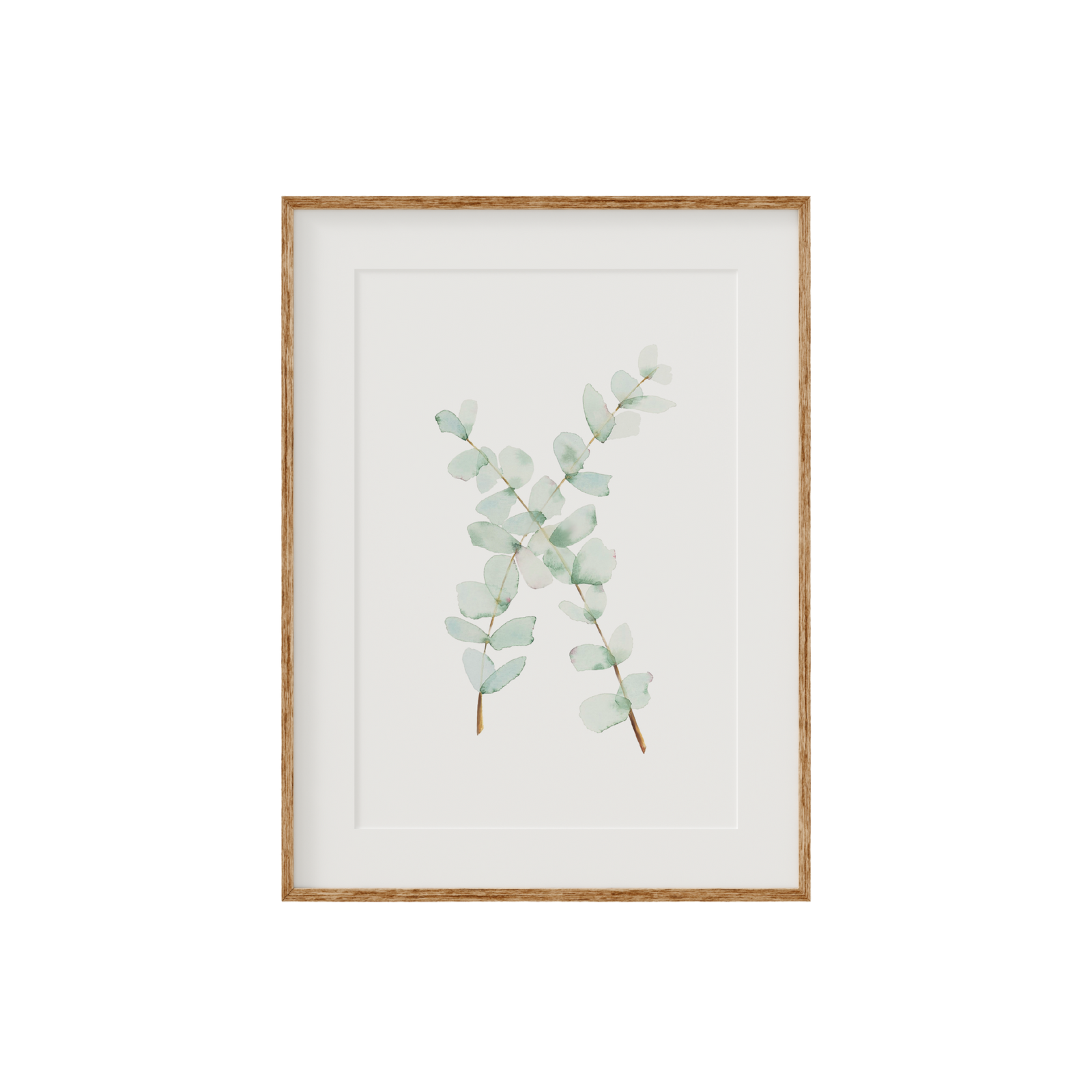 Eucalyptus Fine Art Print