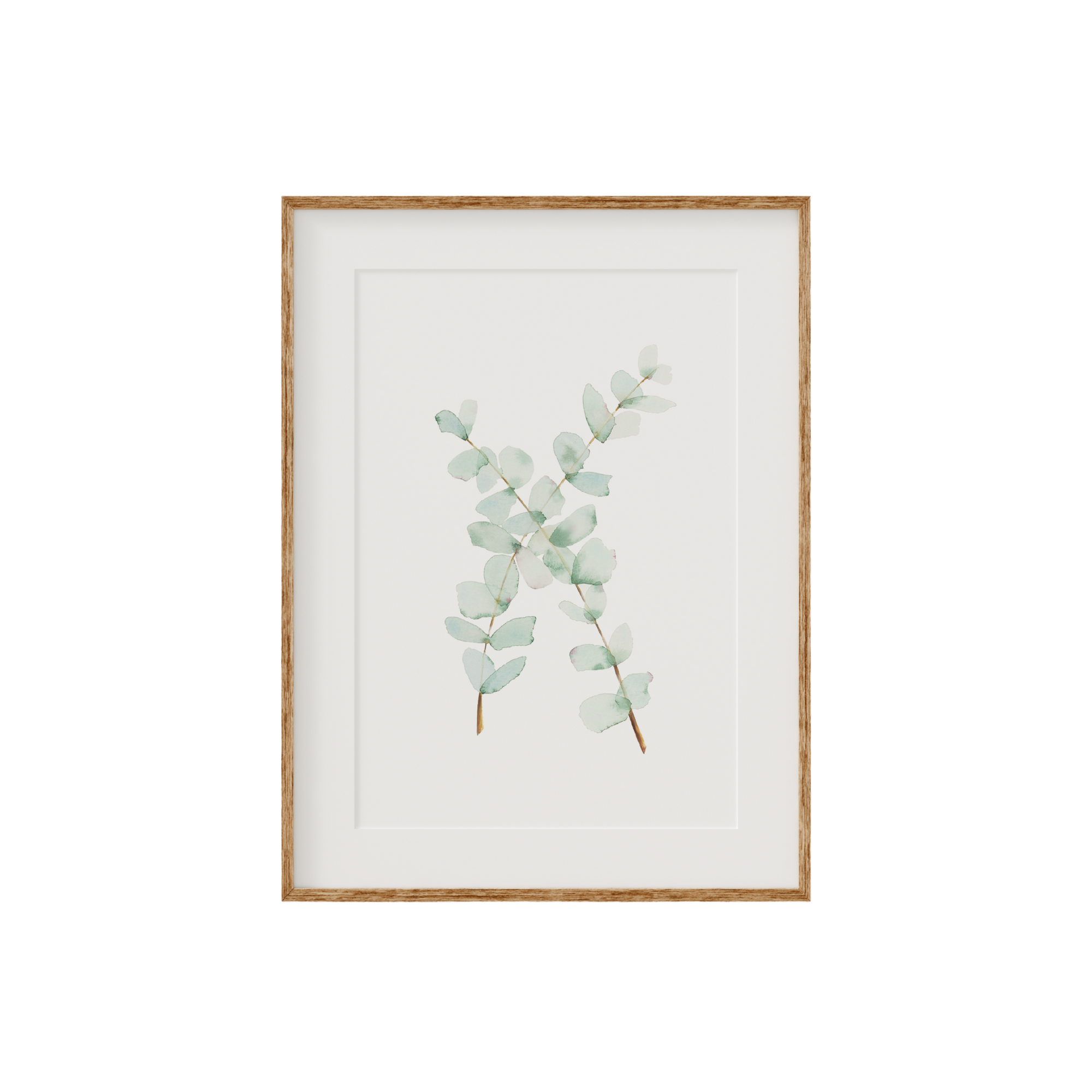 Eucalyptus Fine Art Print