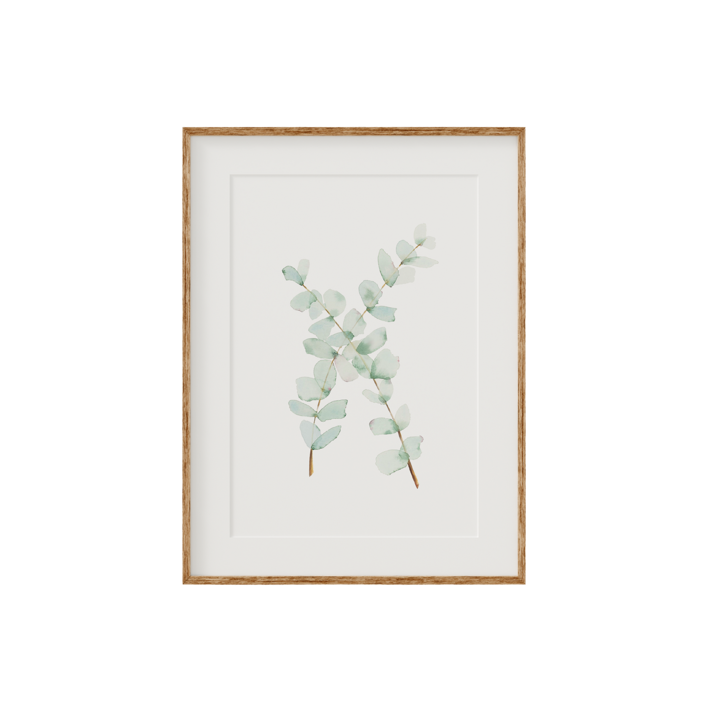 Eucalyptus Fine Art Print