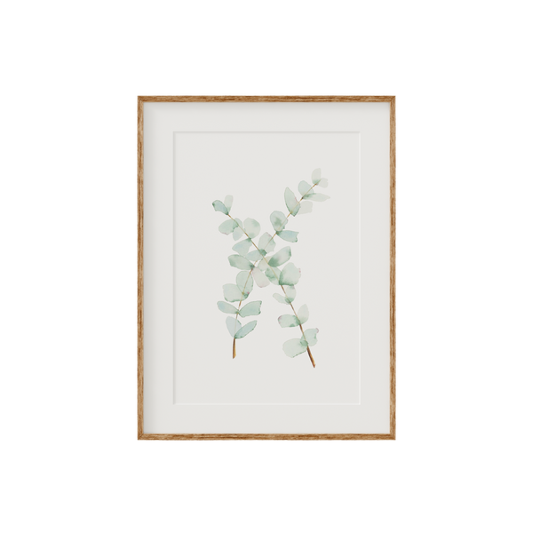 Eucalyptus Fine Art Print