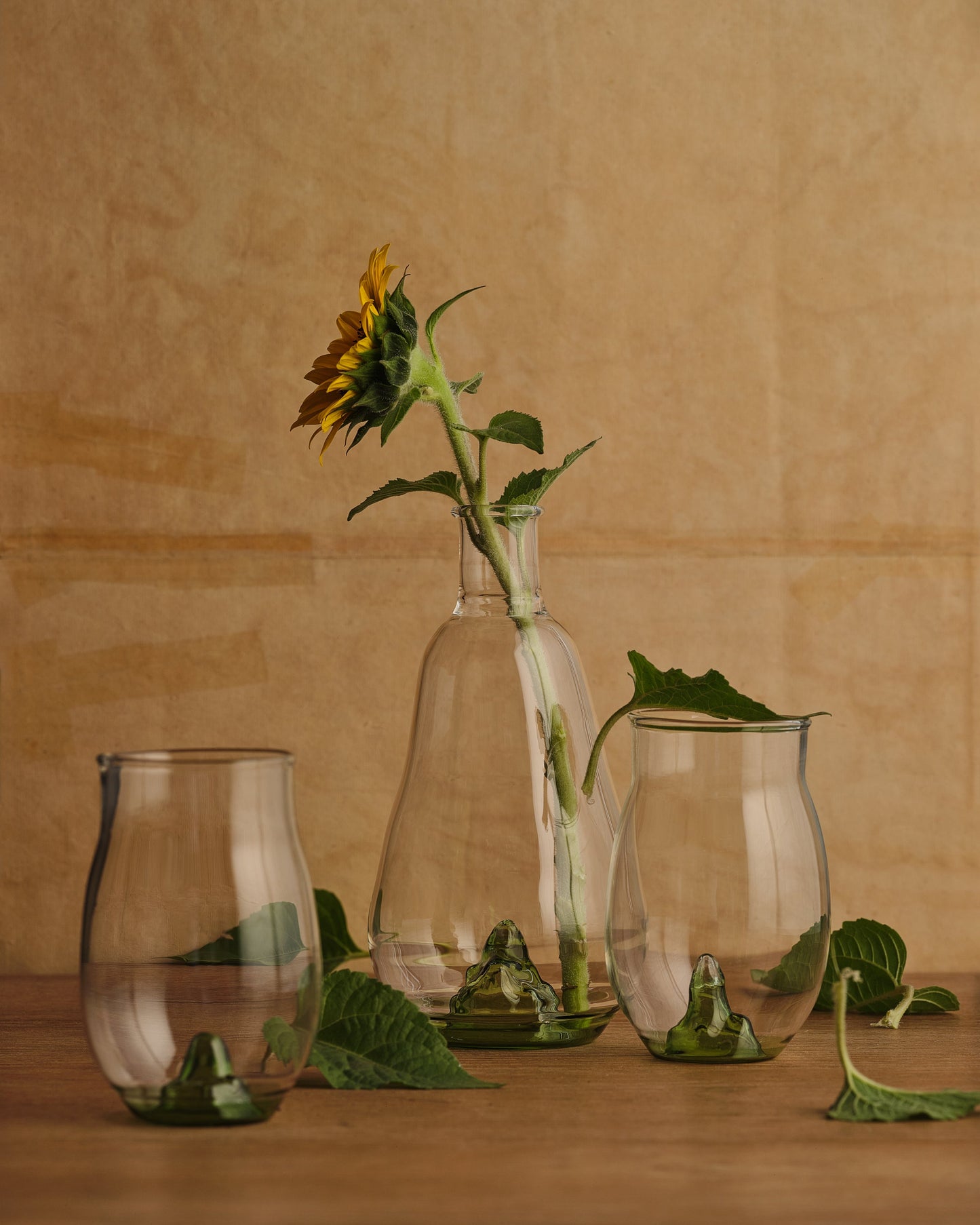 Páramo Pitcher