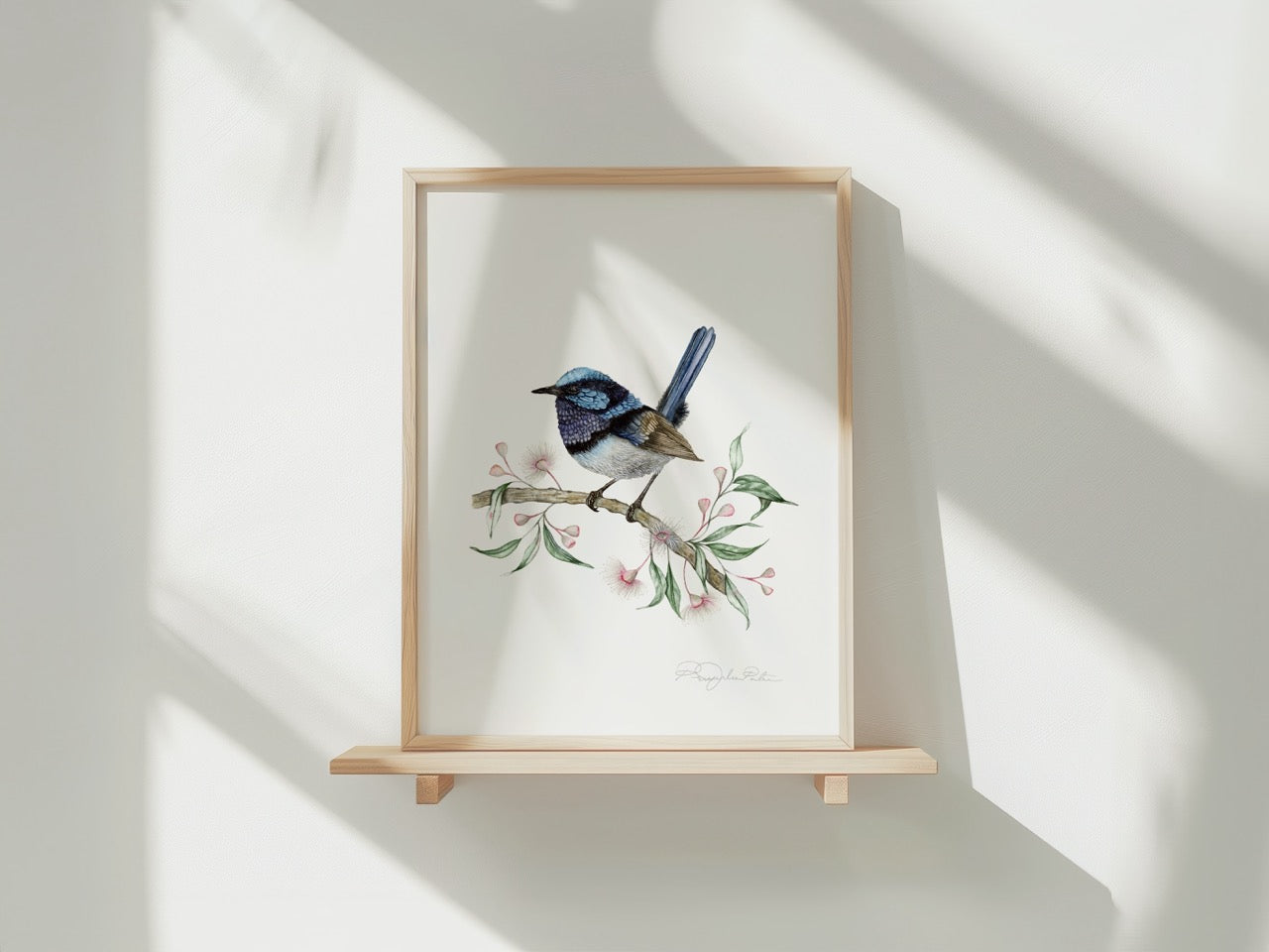 Superb Fairywren Bird Fine Art Print