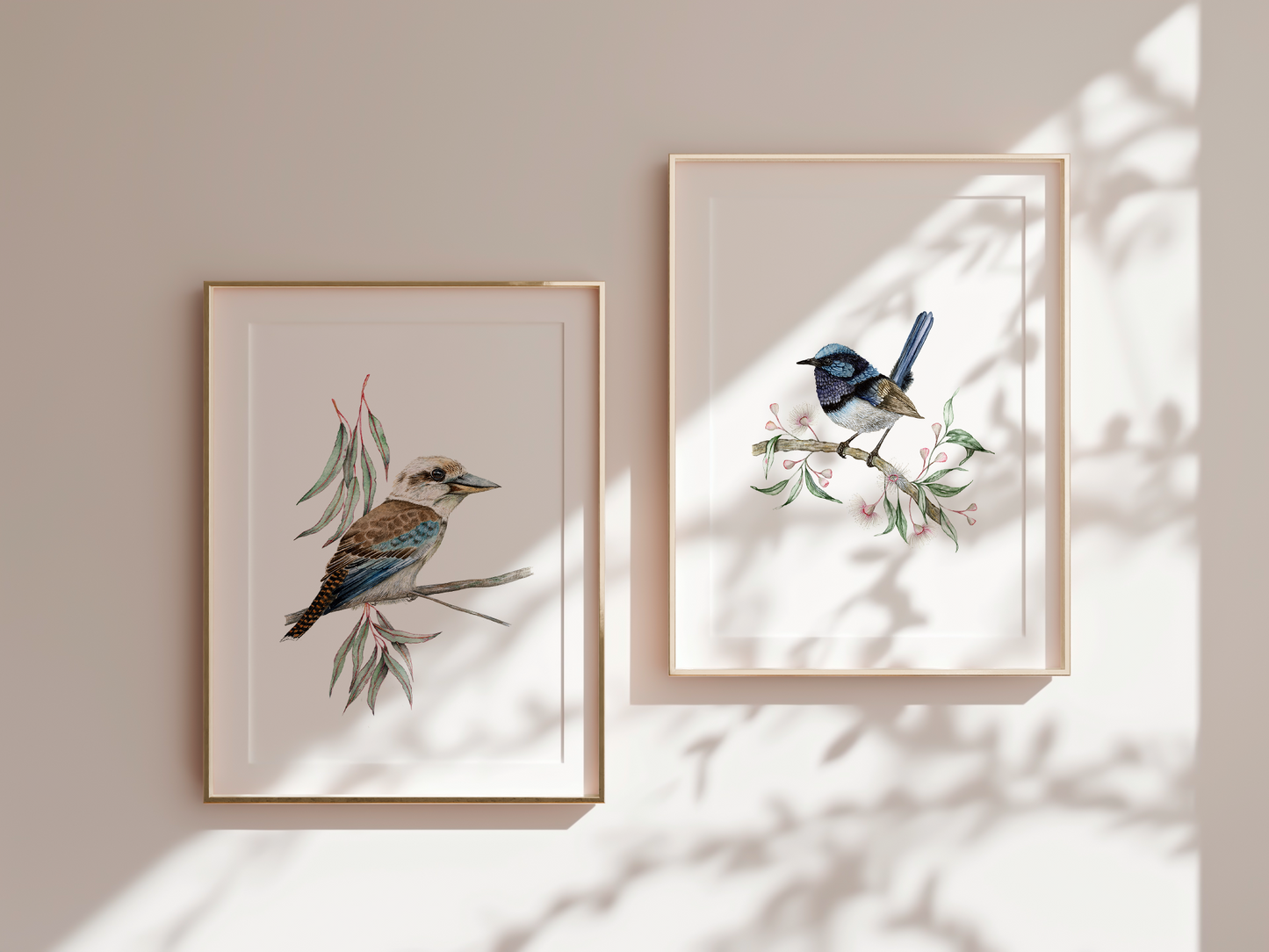 Kookaburra Bird Fine Art Print