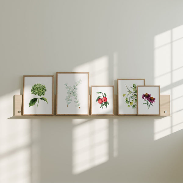 Hydrangea Fine Art Print
