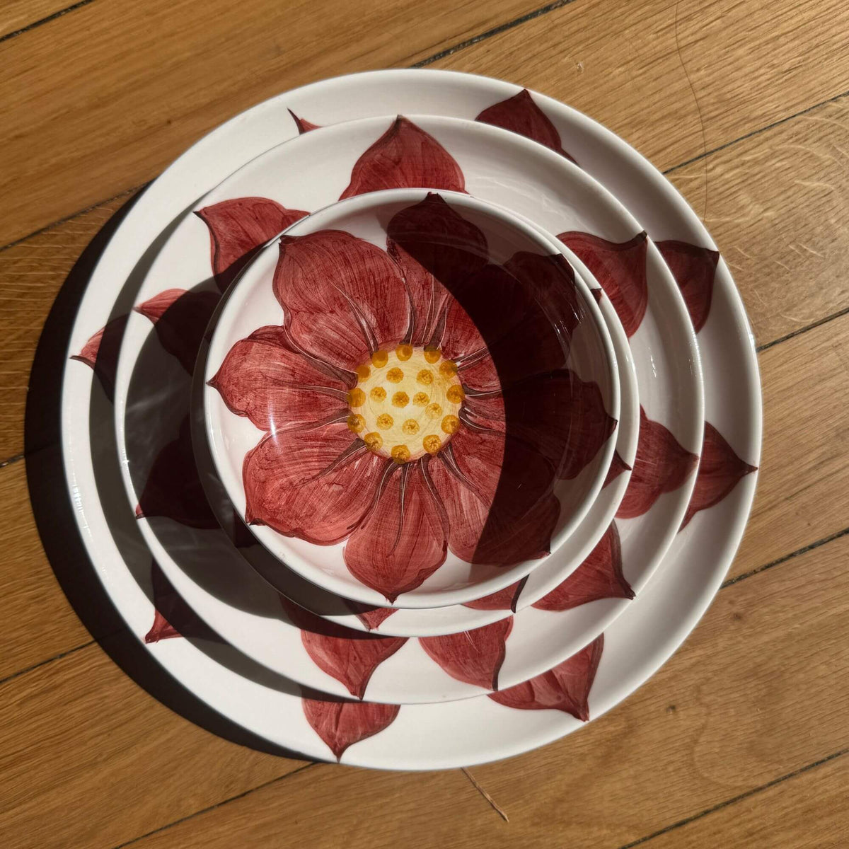 Fiori di Natale