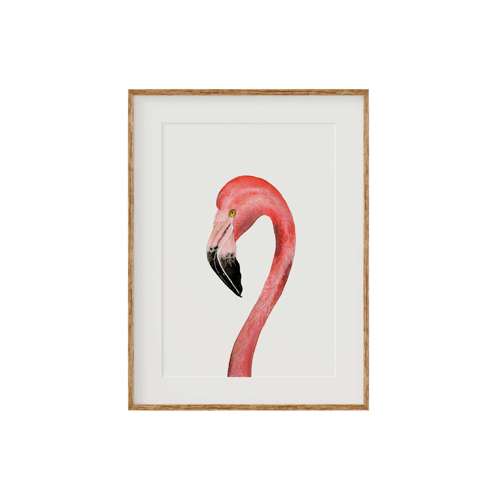 Flamingo Limited Edition Fine Art Print
