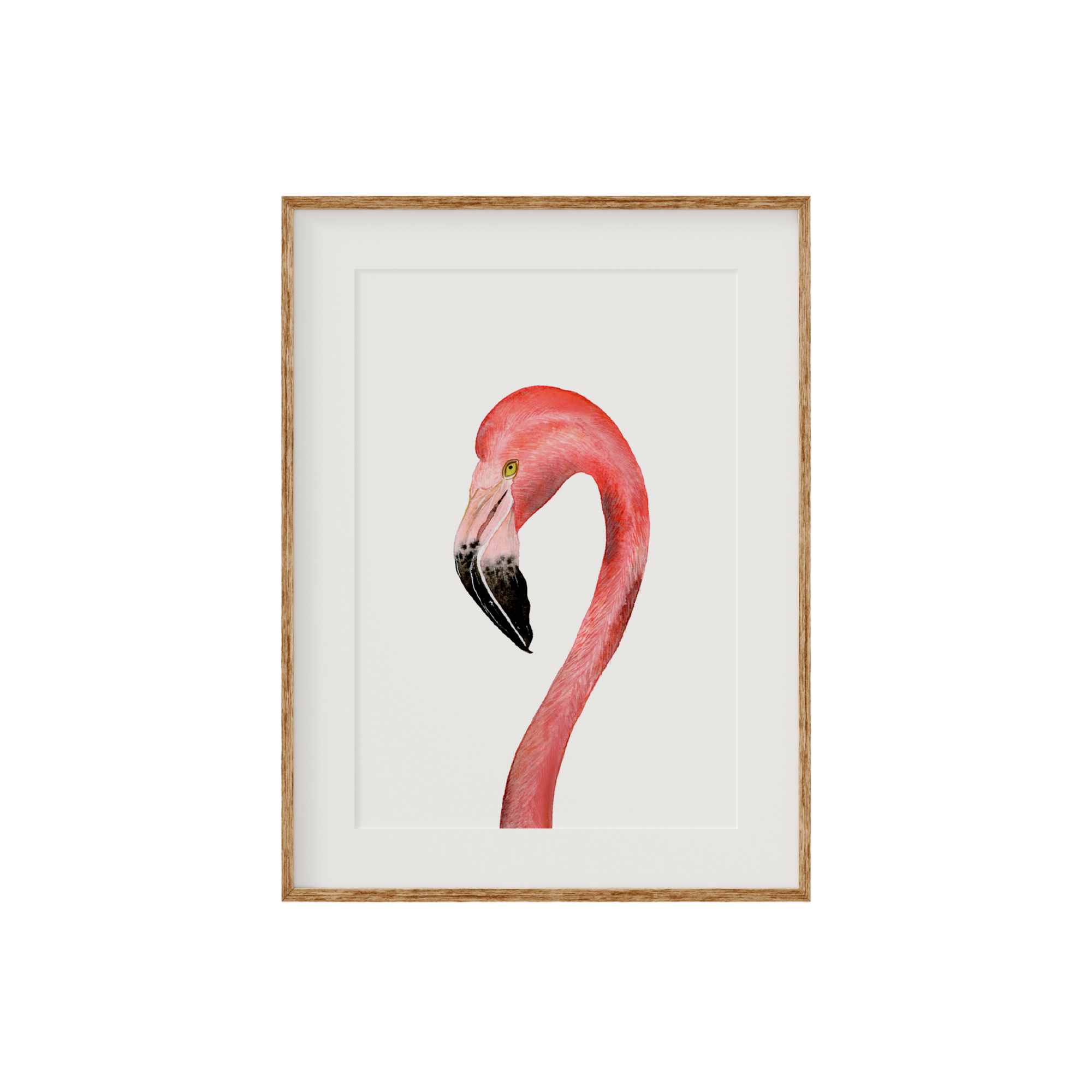 Flamingo Limited Edition Fine Art Print