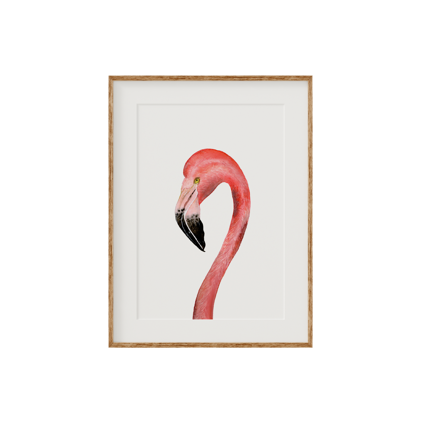 Flamingo Limited Edition Fine Art Print