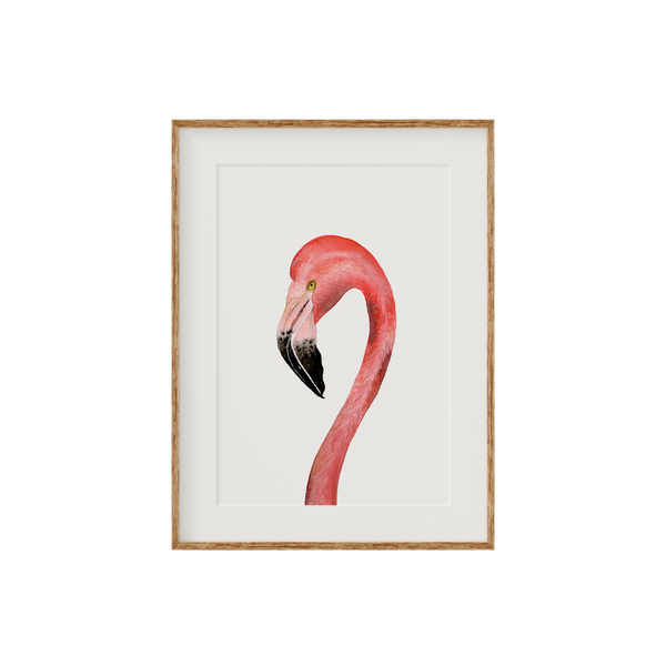 Flamingo Limited Edition Fine Art Print