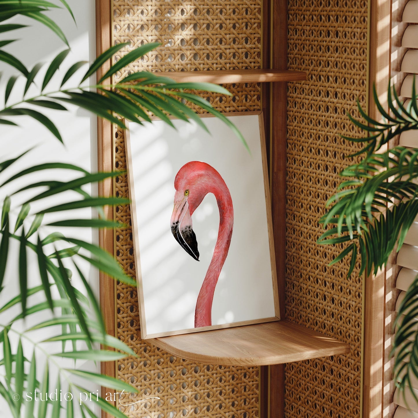 Flamingo Limited Edition Fine Art Print