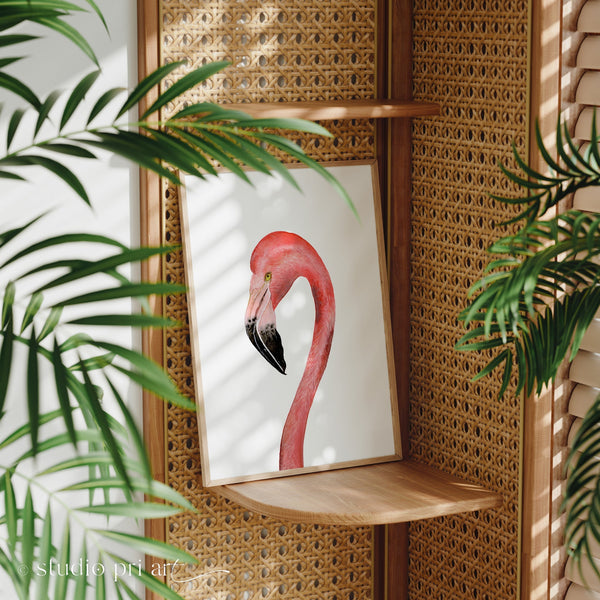 Flamingo Limited Edition Fine Art Print