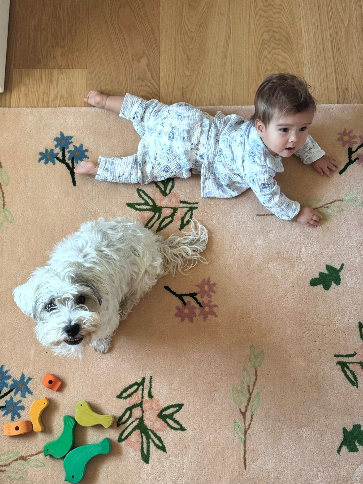 The Forget Me Not Rug
