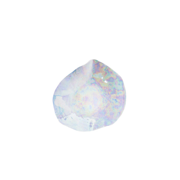 Indulge Nº6 Large Dinner Plate / Pearlescent