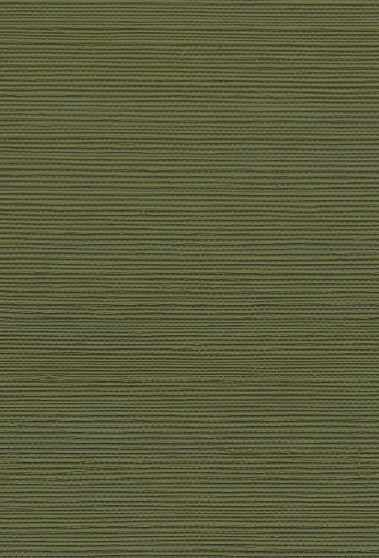 Grasscloth Wallpaper - Treetop Green