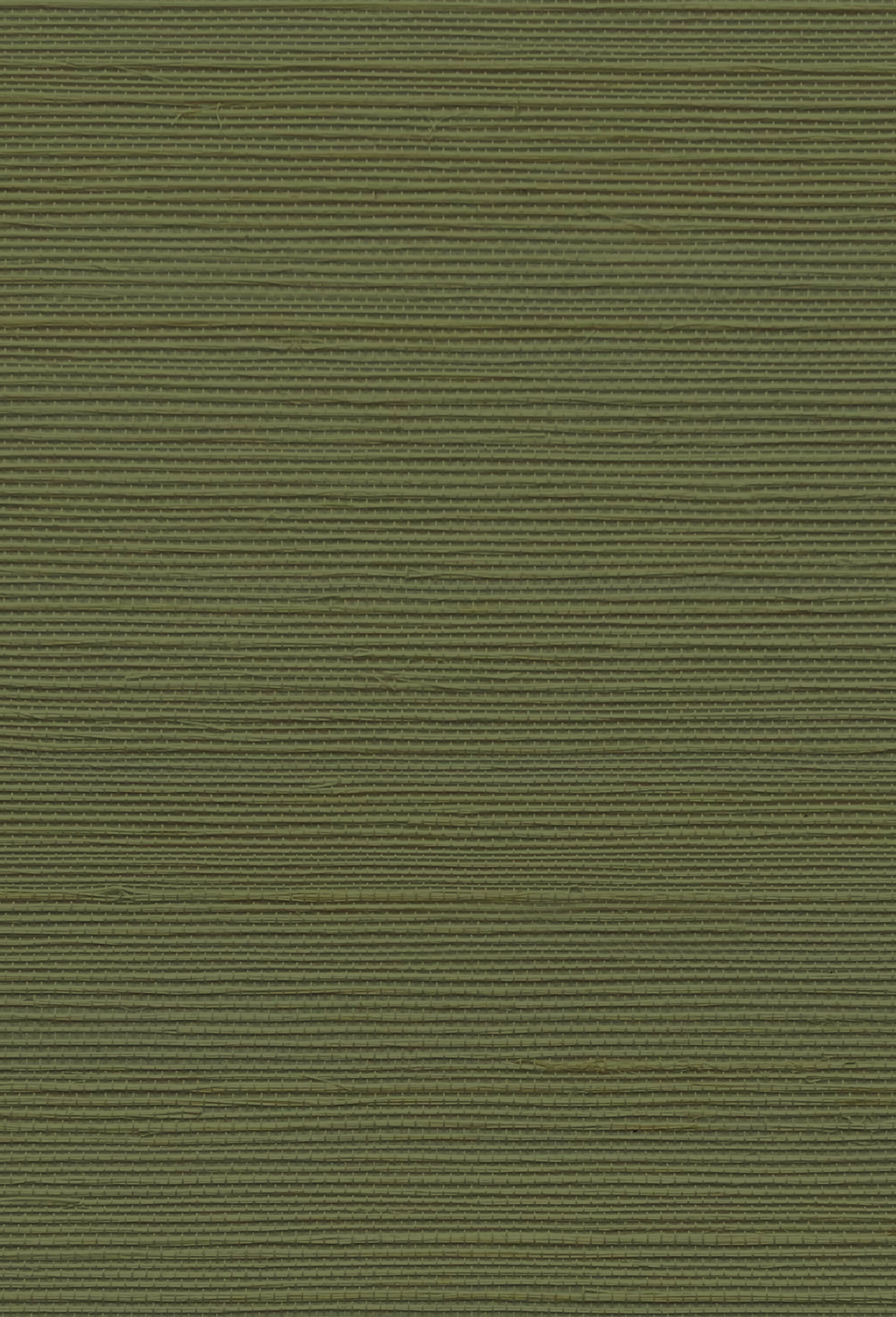 Grasscloth Wallpaper - Treetop Green