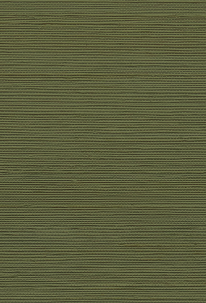 Grasscloth Wallpaper - Treetop Green