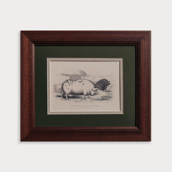 The Grumpy Pigs Artwork