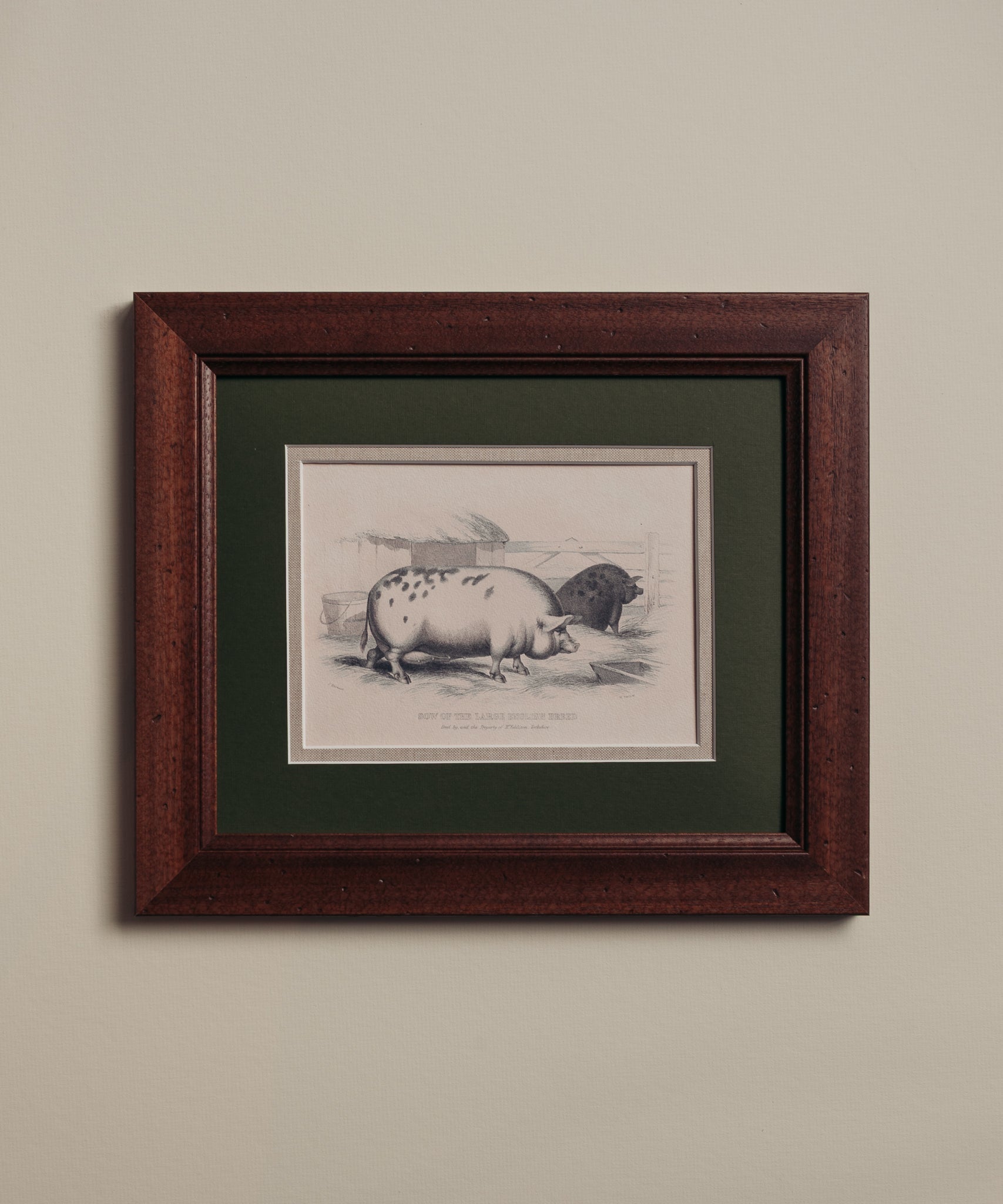 The Grumpy Pigs Artwork