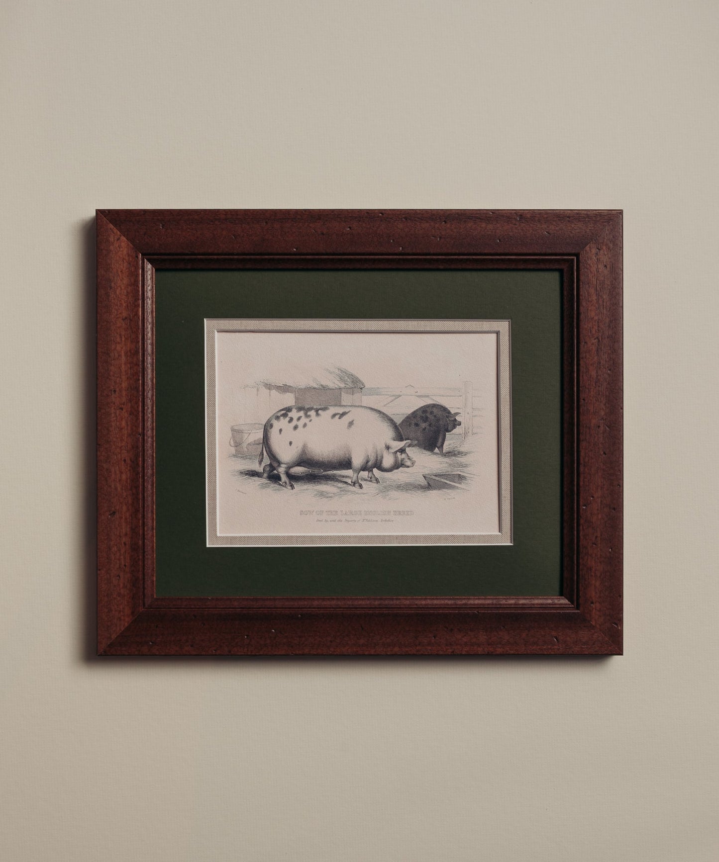 The Grumpy Pigs Artwork