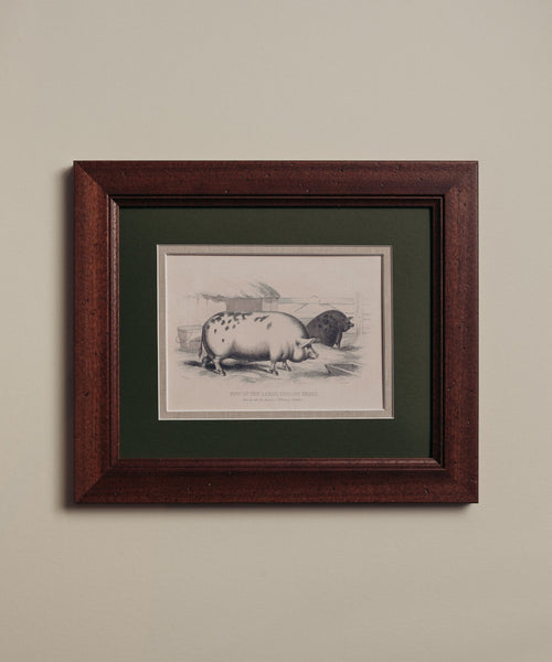 The Grumpy Pigs Artwork