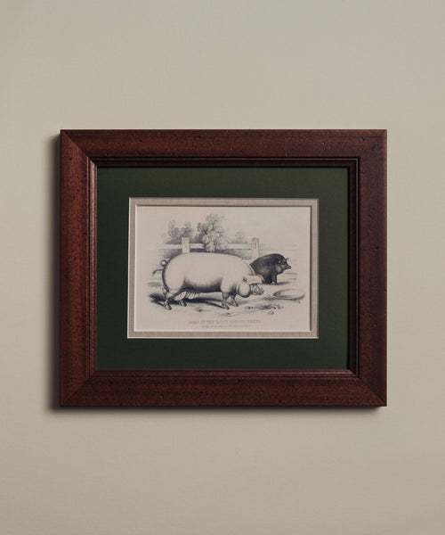 The Grumpy Pigs Artwork