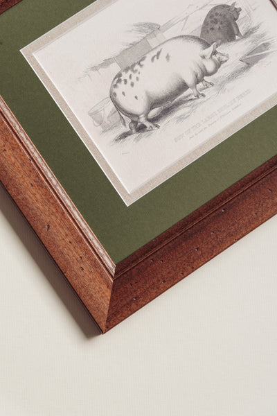 The Grumpy Pigs Artwork