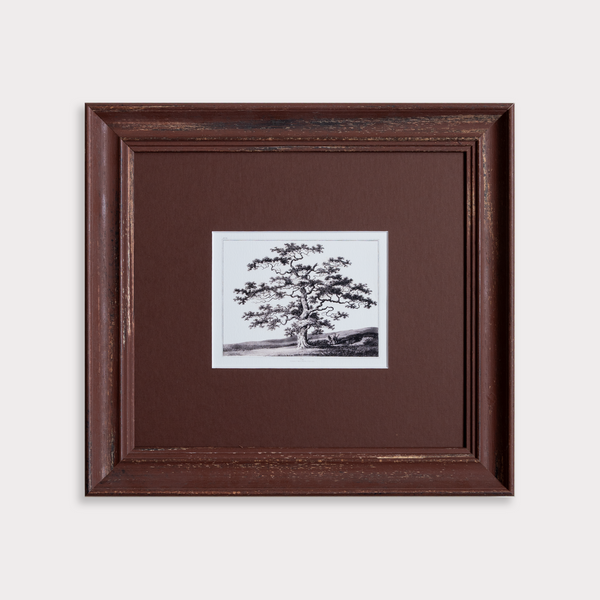 The Old Oak Tree Artwork