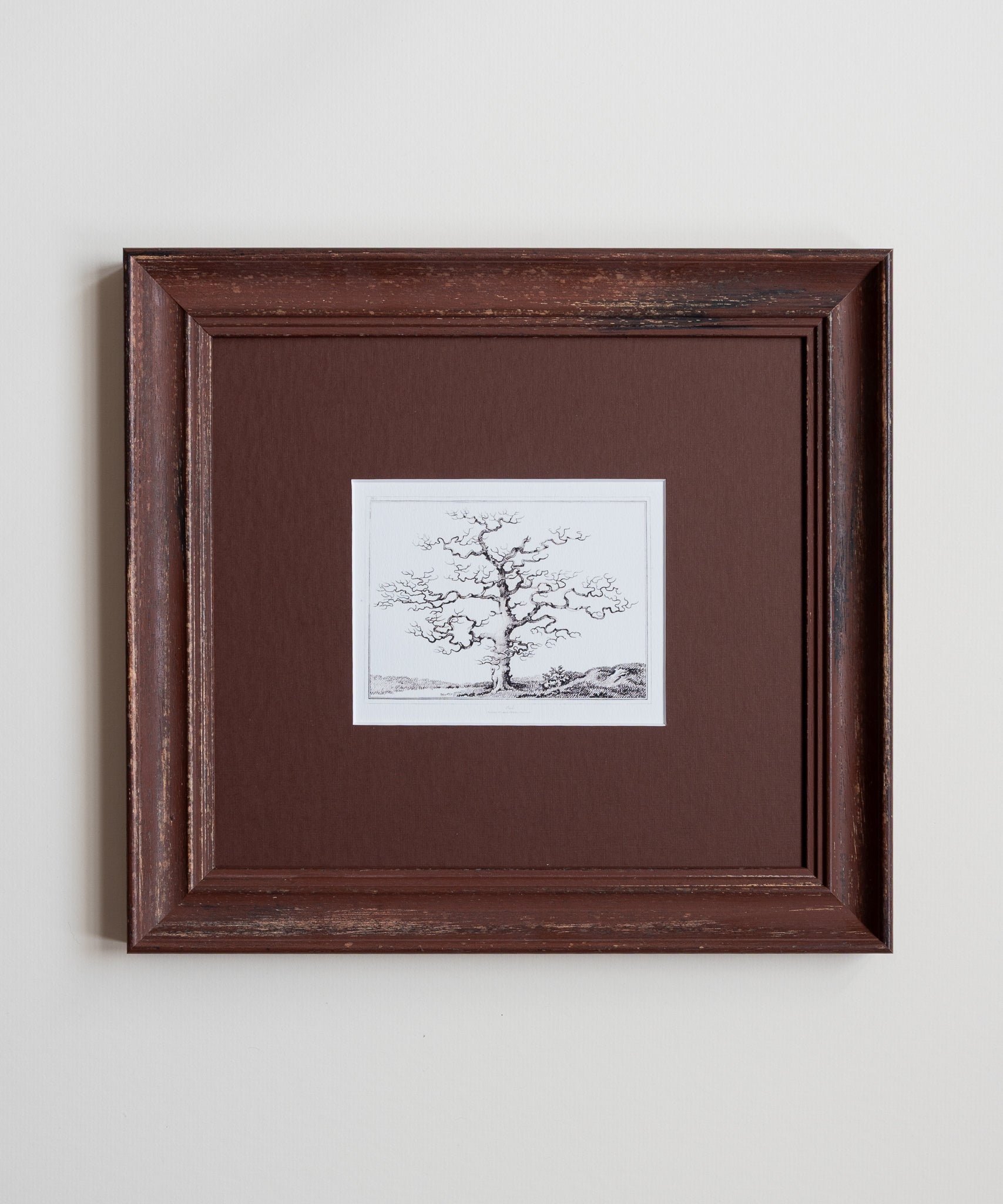 The Old Oak Tree Artwork