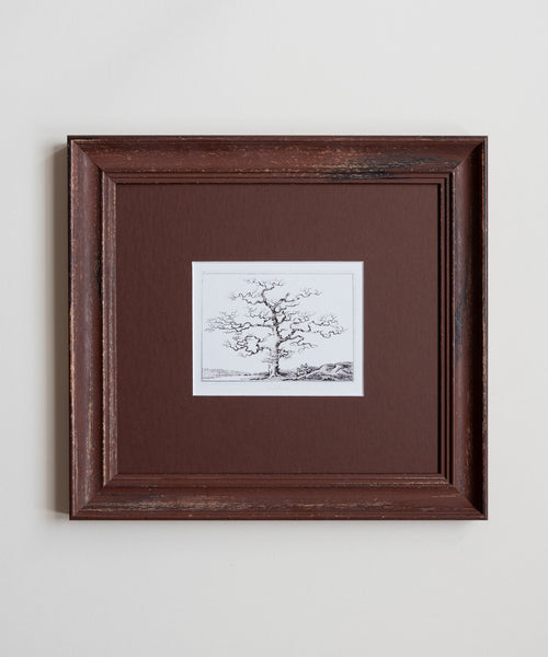 The Old Oak Tree Artwork