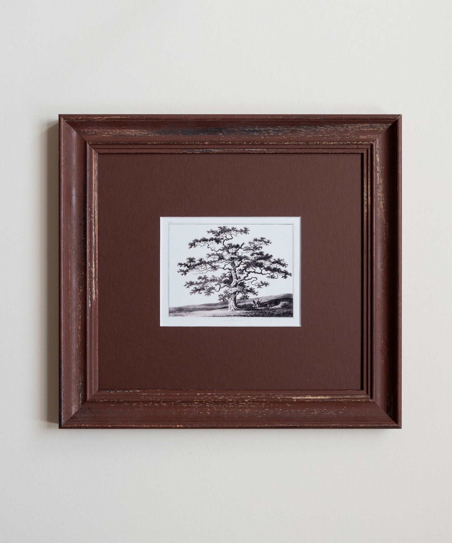The Old Oak Tree Artwork