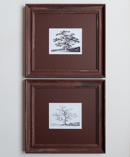 The Old Oak Tree Artwork