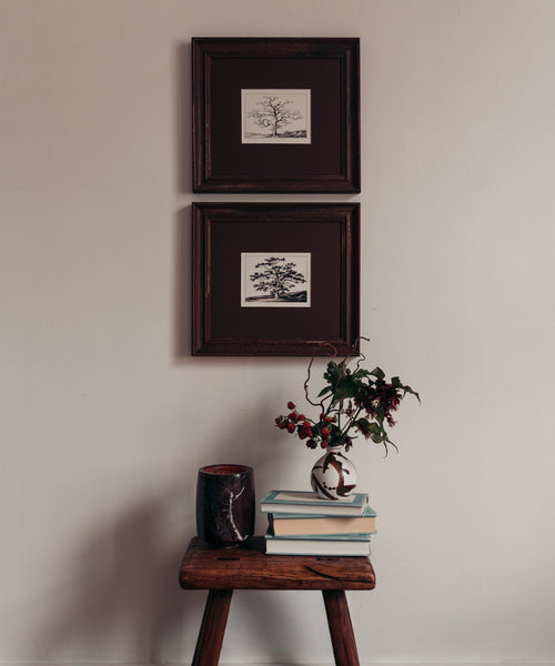 The Old Oak Tree Artwork