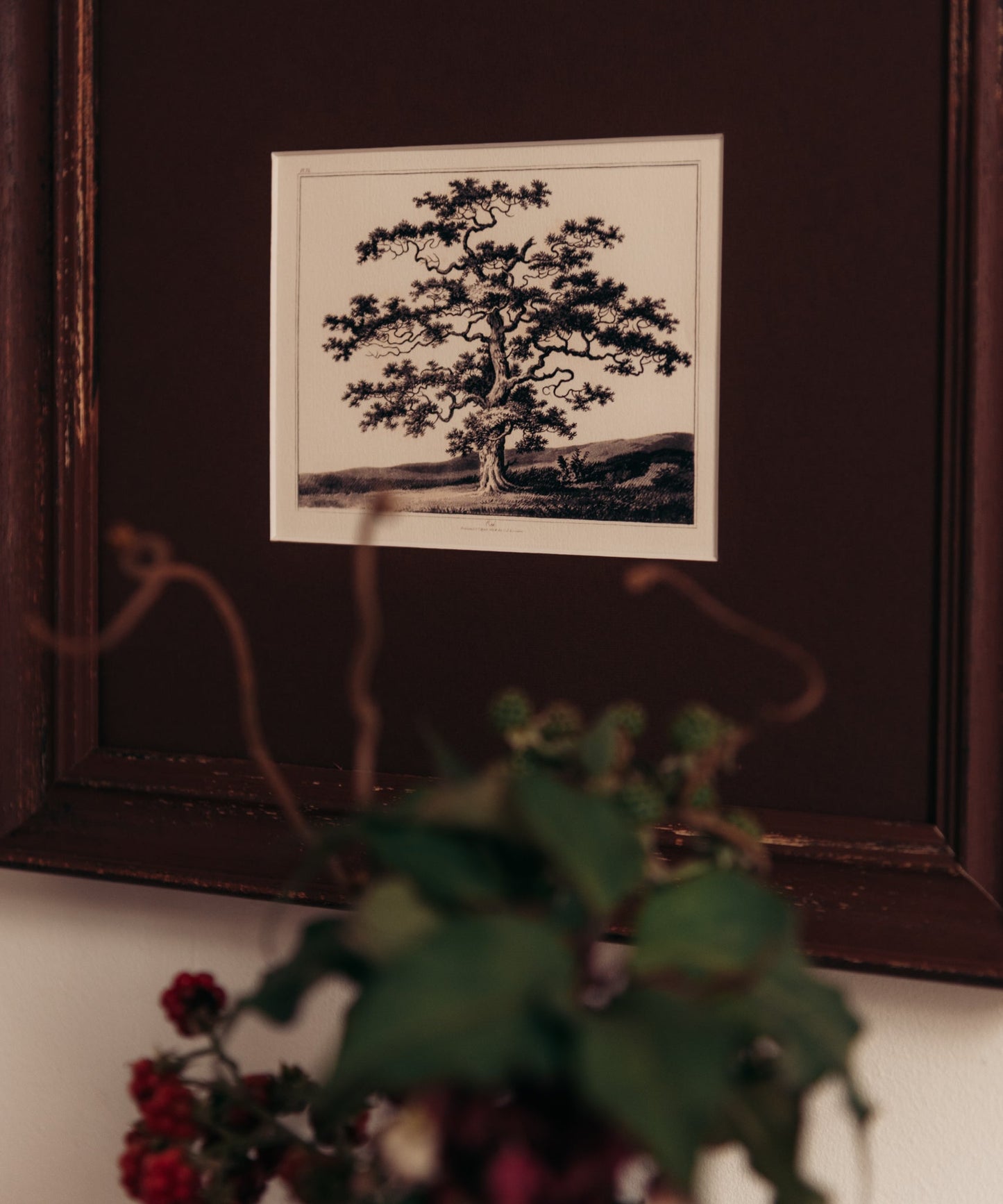 The Old Oak Tree Artwork