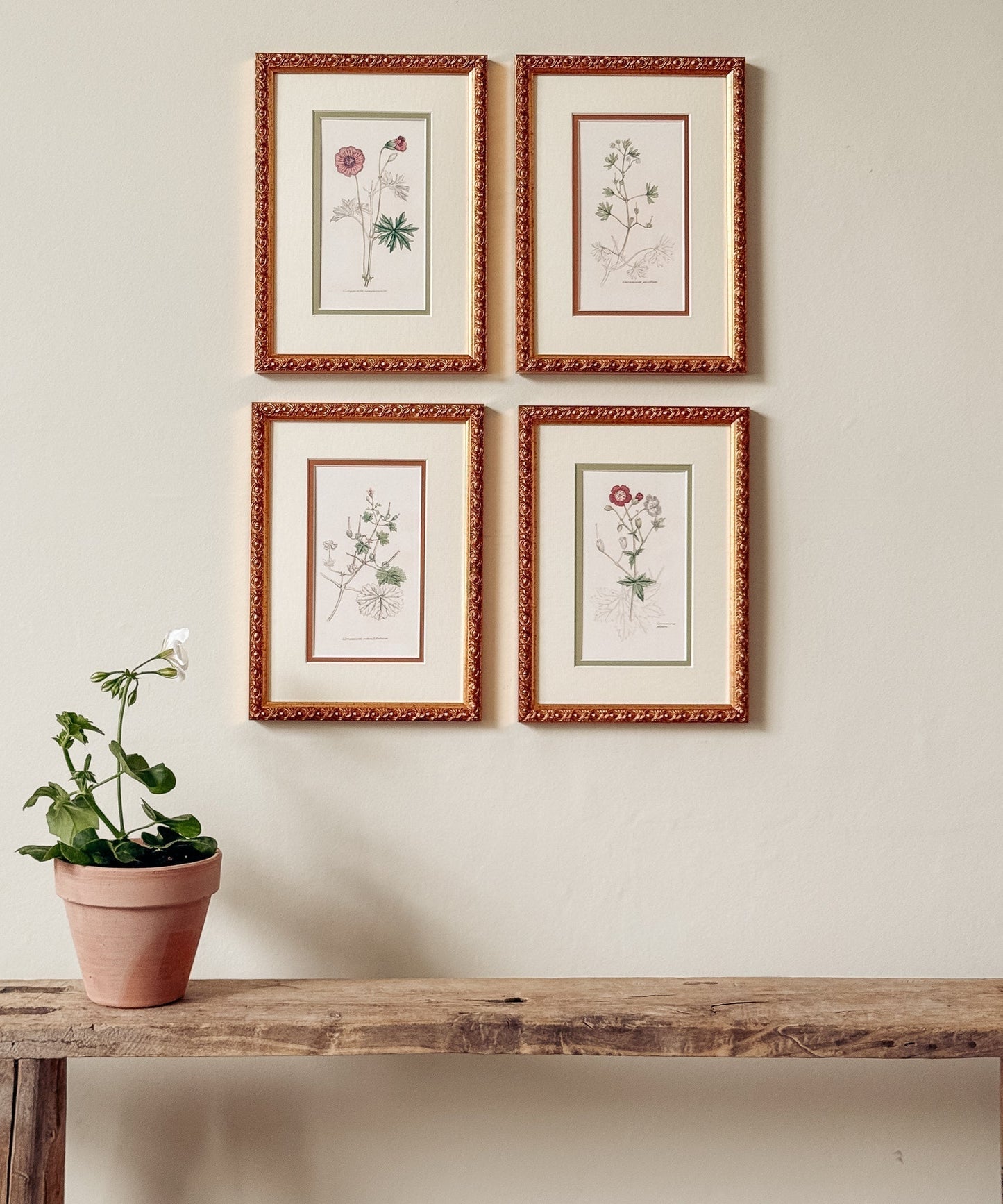 The Geraniums Artwork
