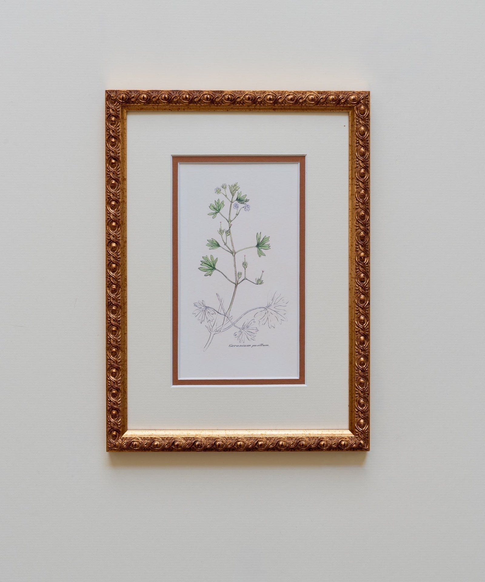 The Geraniums Artwork
