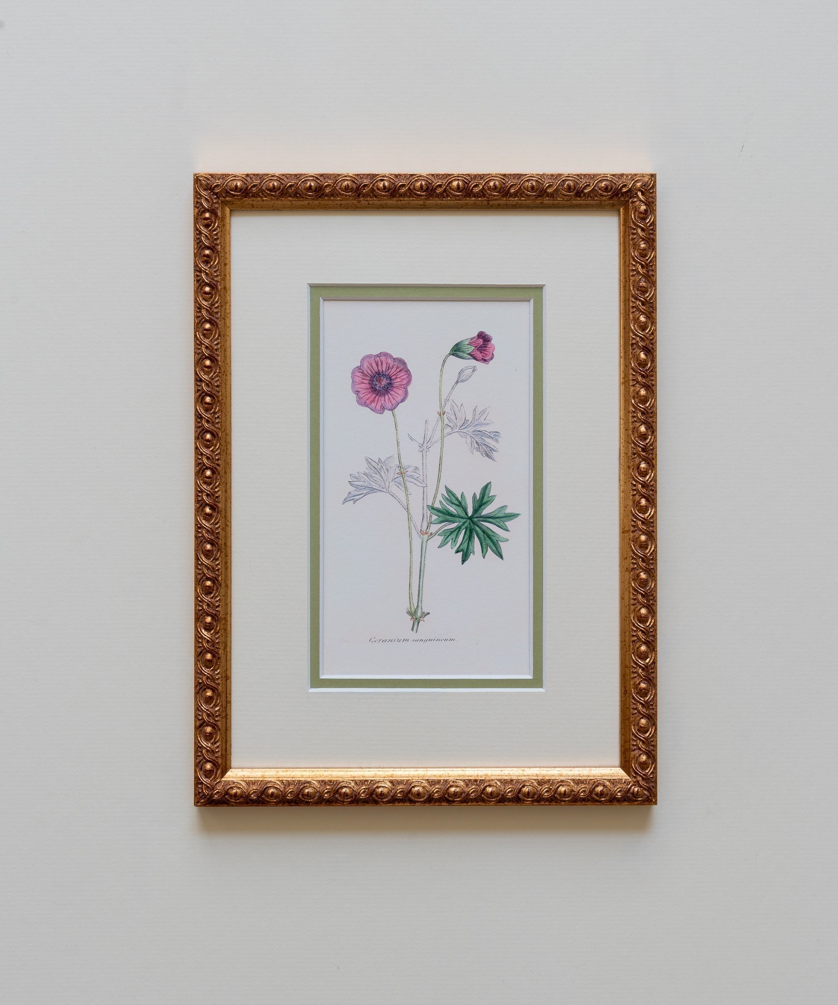 The Geraniums Artwork