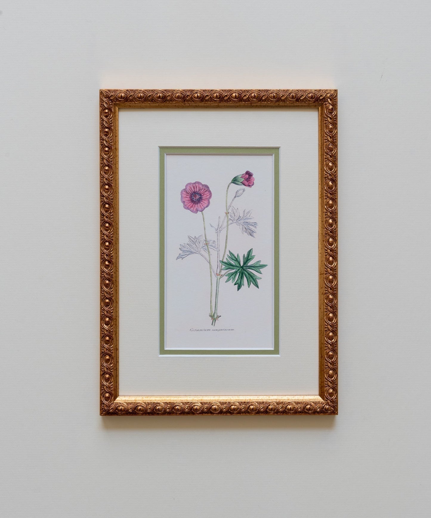 The Geraniums Artwork