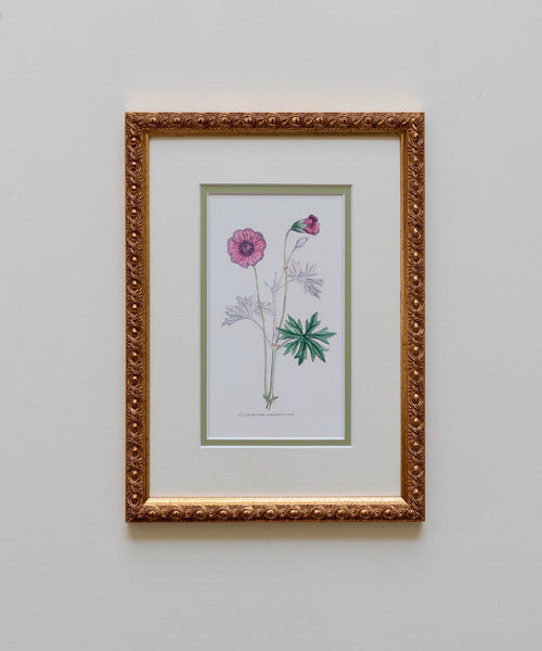 The Geraniums Artwork