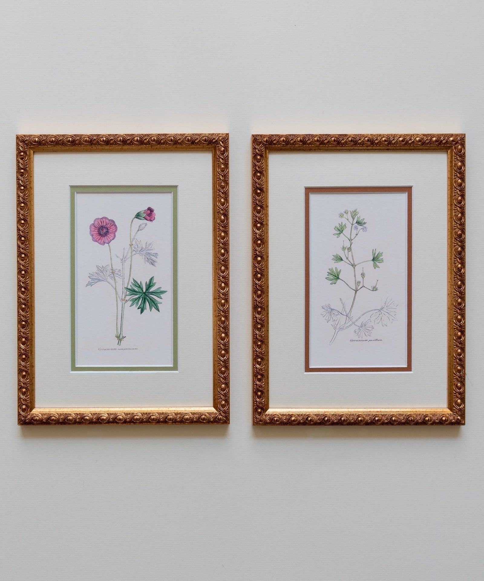 The Geraniums Artwork
