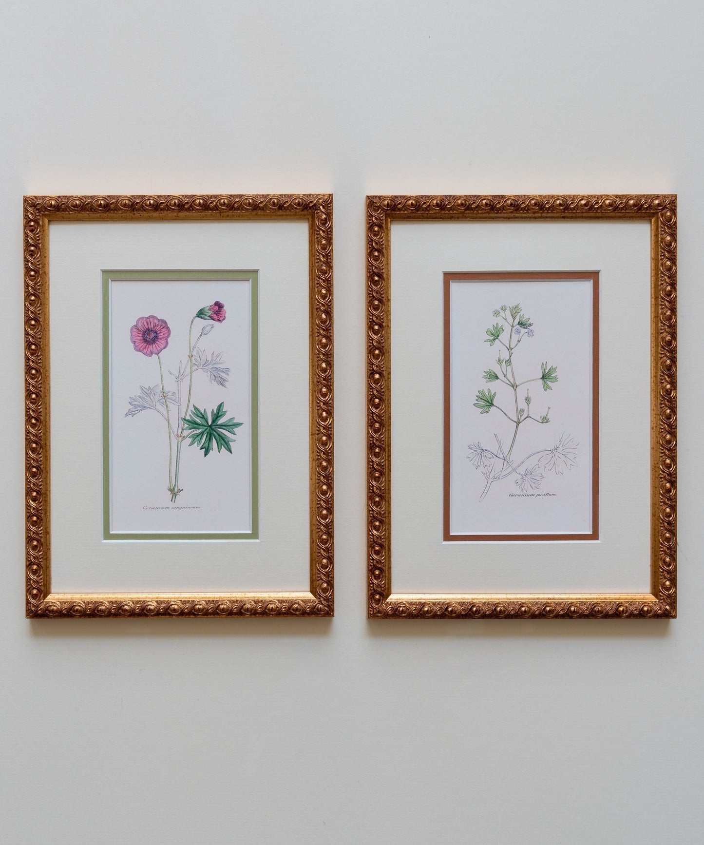 The Geraniums Artwork